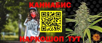 спиды Гатчина