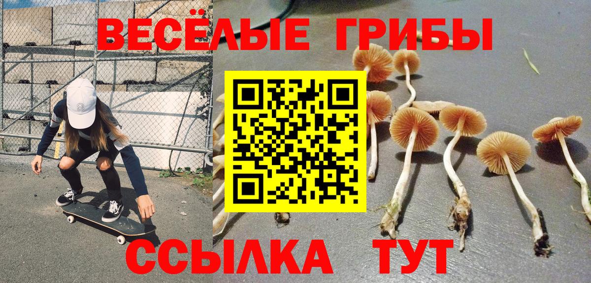 Гулькевичи  купить наркотики цена  Вход с VPN  Галлюциногенные грибы MAGIC MUSHROOMS 