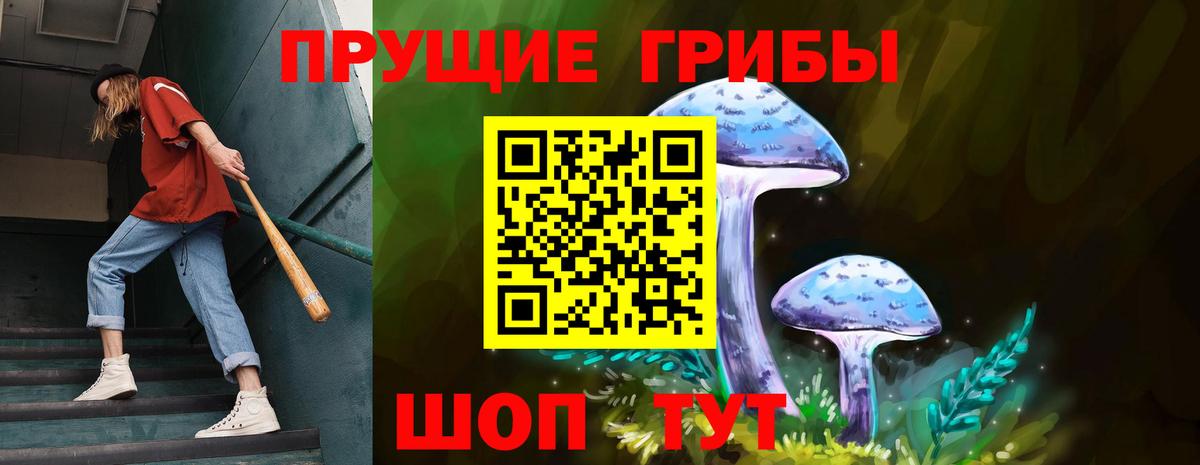 Галлюциногенные грибы Psilocybe Гулькевичи